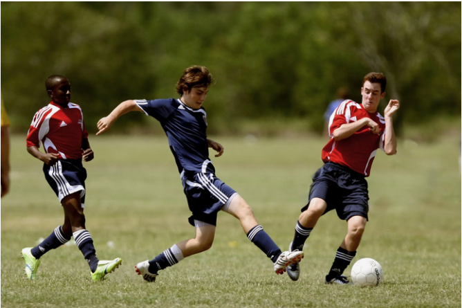 online sports betting